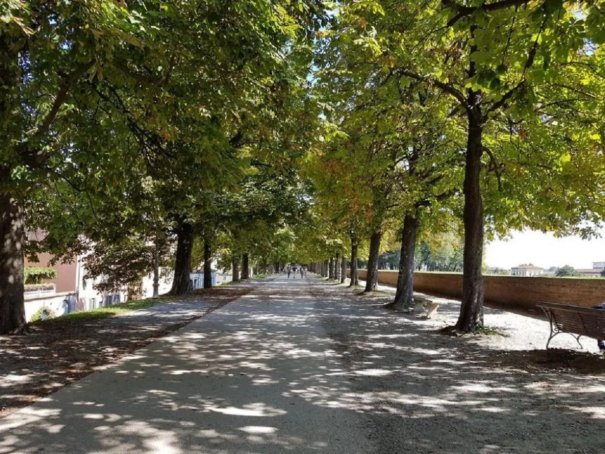 Cozybricks In Lucca - Apartments In Lucca Historical Center - Air Cond & Wifi -